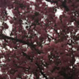 Meet your Posher, Jacquelyn